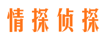 玛纳斯侦探